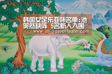 韩国女足东亚杯名单:池笑然缺阵 5名新人入围-亚新体育