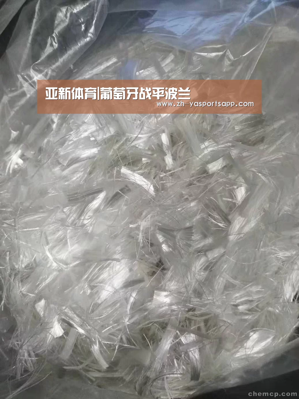 亚新体育|葡萄牙战平波兰(图2) 亚新体育